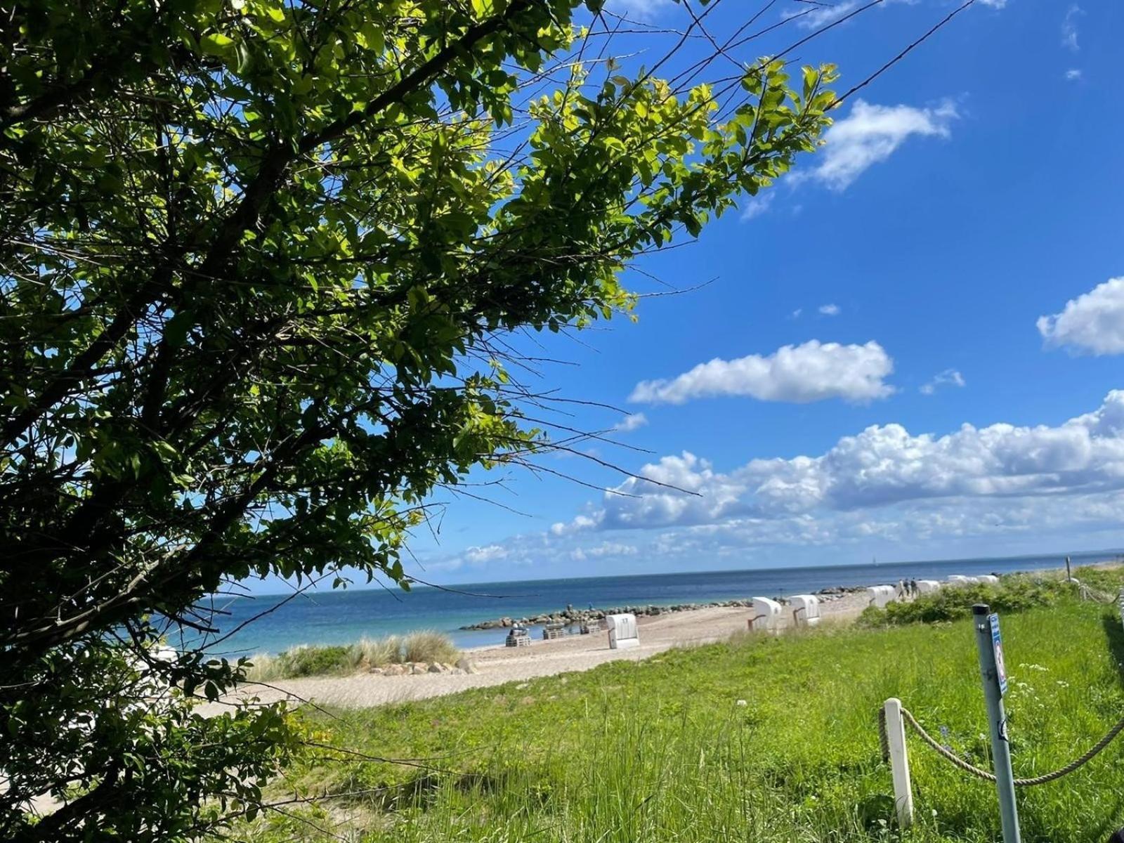 Ferien Am Strand, Urlaub An Der Ostsee Ferienwohnung Am Strand In Der Naehe Der Schlei, Umgebung Von Kappeln U Damp Brodersby-Goltoft المظهر الخارجي الصورة