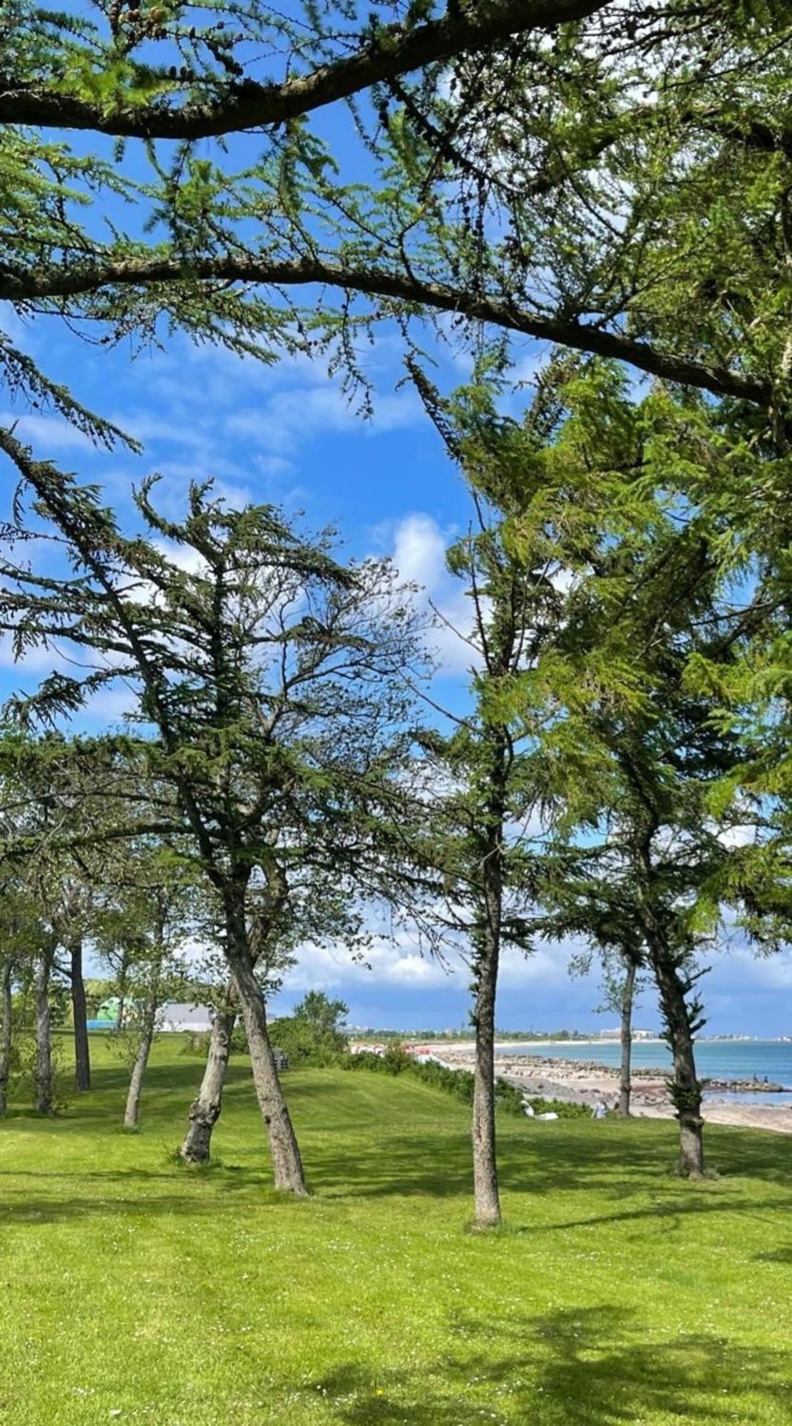 Ferien Am Strand, Urlaub An Der Ostsee Ferienwohnung Am Strand In Der Naehe Der Schlei, Umgebung Von Kappeln U Damp Brodersby-Goltoft المظهر الخارجي الصورة